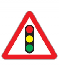 23081